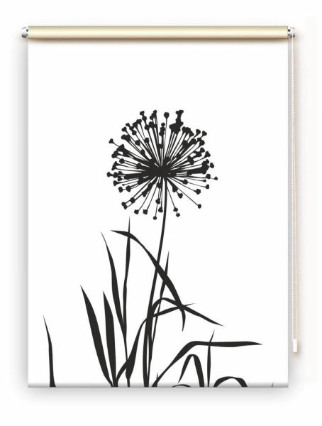 Rollo Allium 24 blanco schwarz, Rollo, Motivrollo, Rollo mit Druck, Fotorollo, bedrucktes Rollo, Fensterrollo,verdunkelndes Rollo, Sonnenschutz Rollo